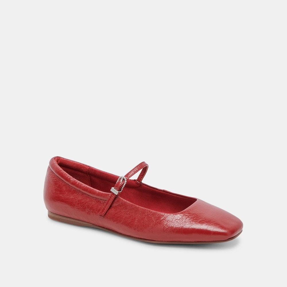 Dolce Vita Reyes Ballet Flats (NWT)